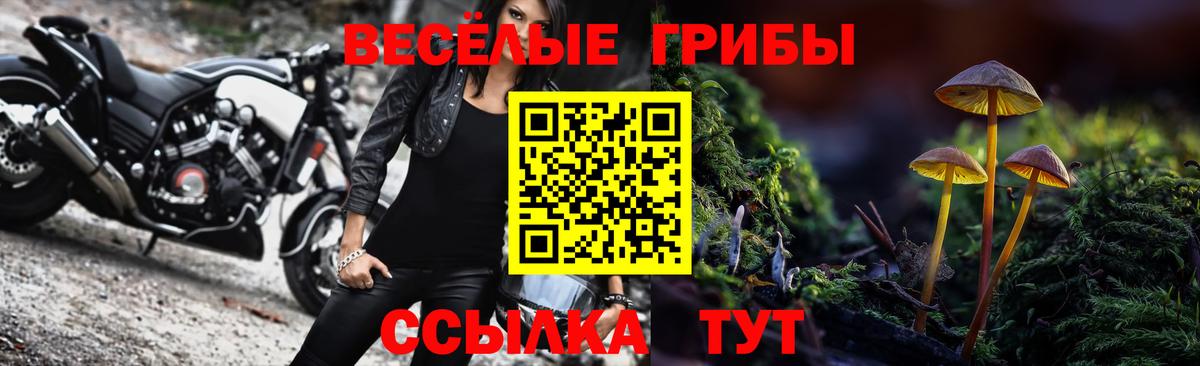 Галлюциногенные грибы Magic Shrooms  Вход с VPN  Вичуга  Псилоцибиновые грибы Magic Shrooms 